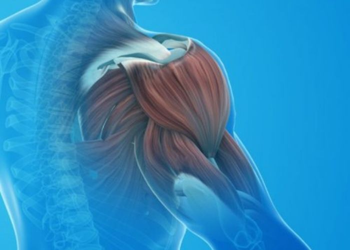 Shoulder replacement Surgery